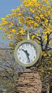 reloj