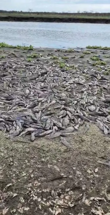 WhatsApp Image 2025-10-22 at 10.17.36