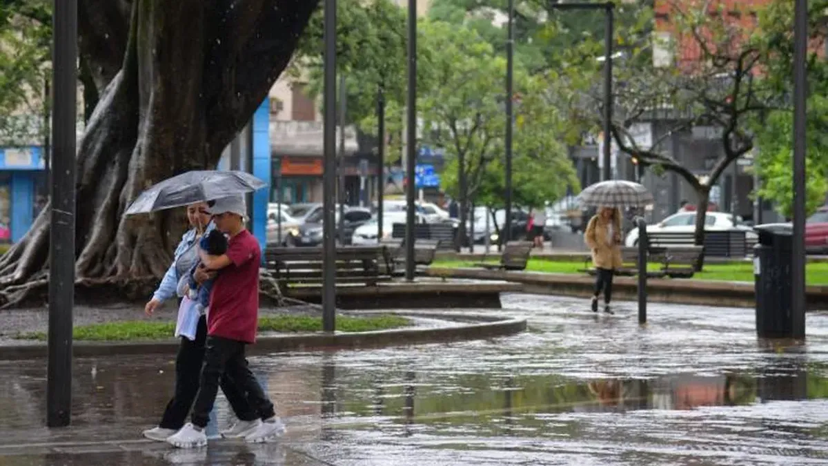 image - 2026-01-13T152516.186