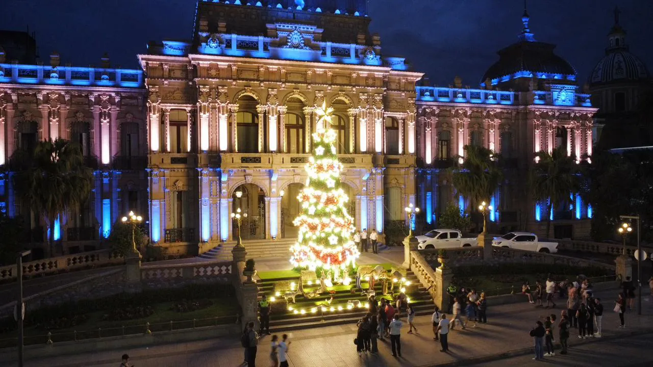 arbol1