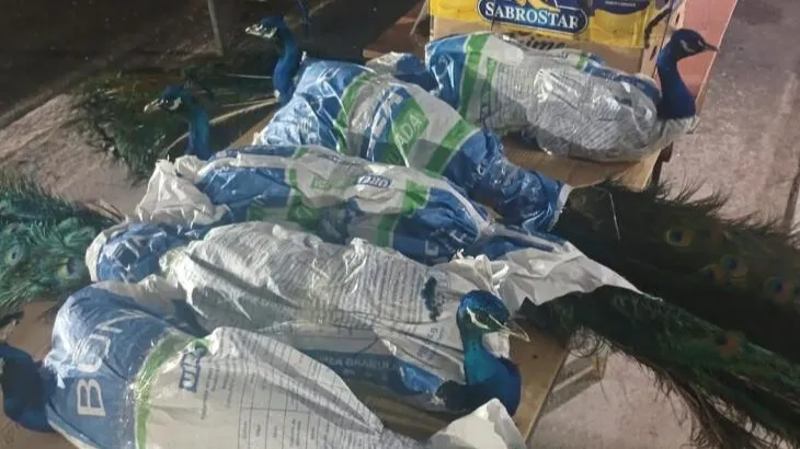 1faceab9-1c32-4ec6-9dcc-ff09f80c695c