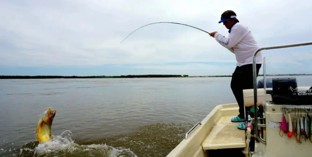 pesca