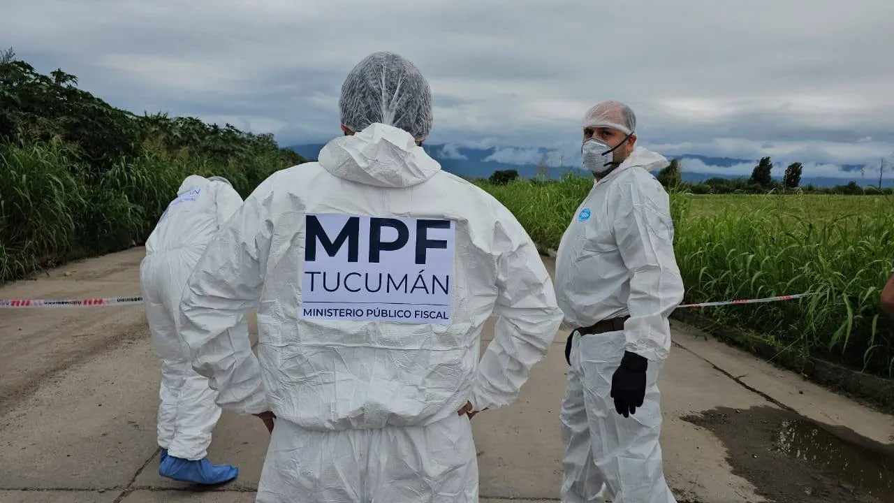 611629896_1301354048674783_5994457057438941635_n