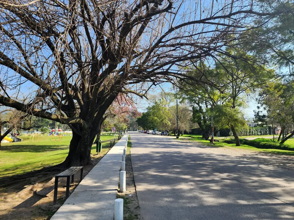 WhatsApp Image 2025-07-21 at 08.16.10