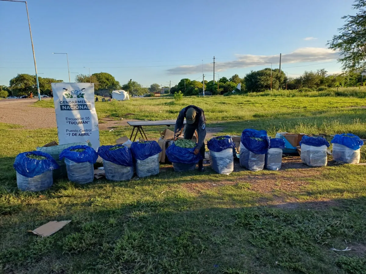 image - 2026-03-18T131534.449