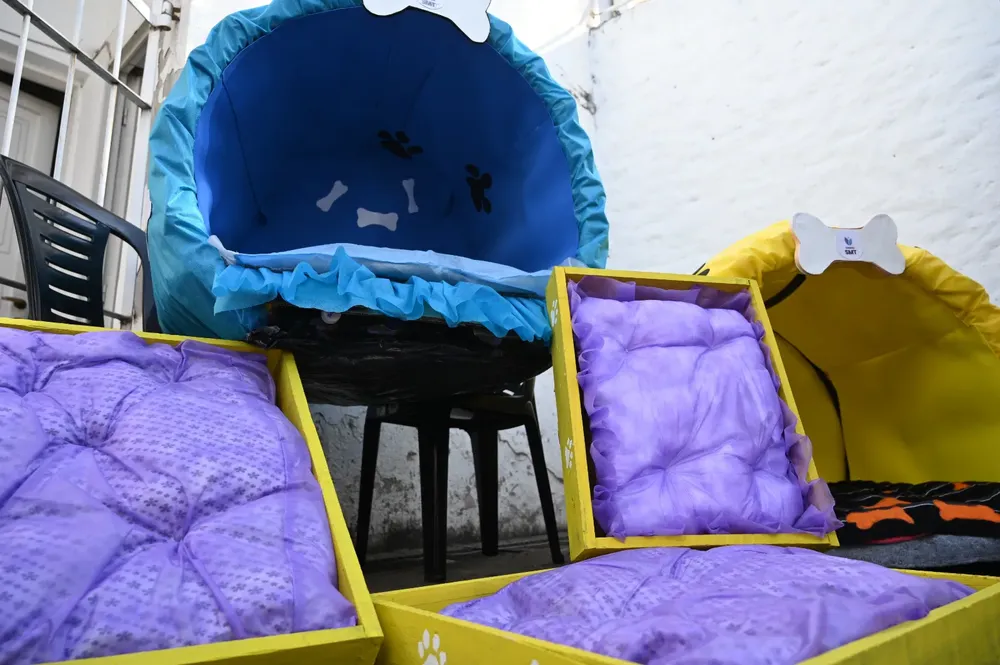 multimedia.grande.82575988a1cf484e.Z3JhbmRlLndlYnA=