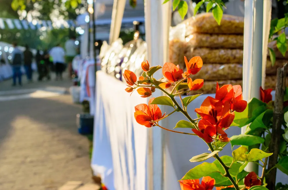 multimedia.normal.acc19f14c21aae93.RkVSSUEgcGFycXVlIGF2ZWxsYW5lZGEgc2VwdGllbWJfbm9ybWFsLndlYnA=