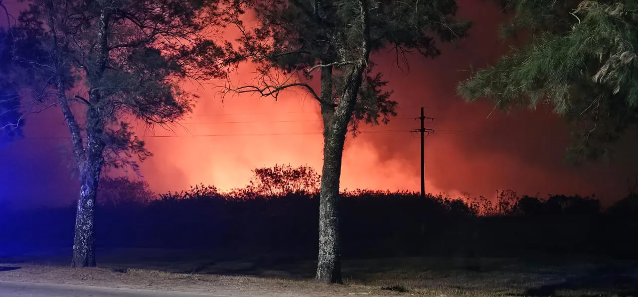 WhatsApp Image 2025-10-11 at 11.12.19 AM