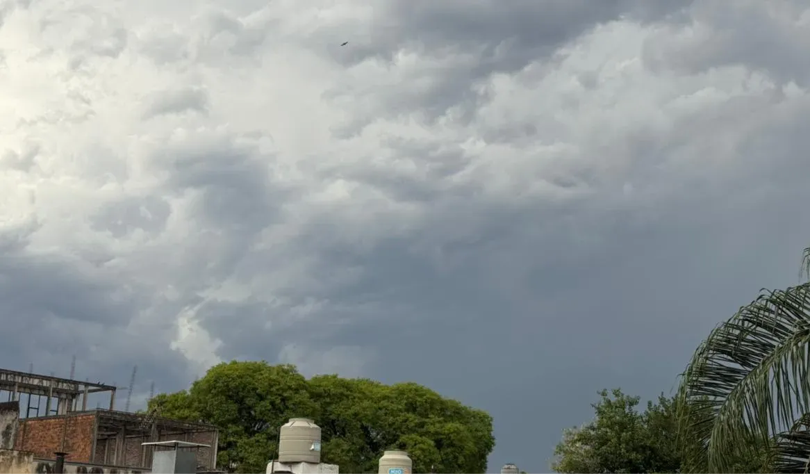 WhatsApp Image 2025-11-28 at 7.26