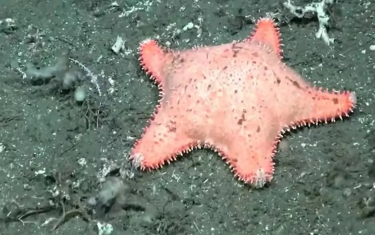 image - 2025-12-20T152915.102