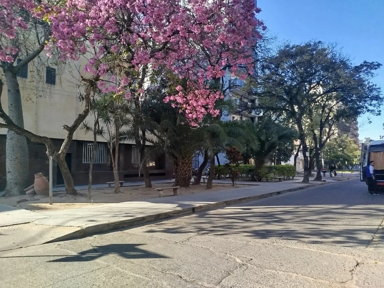 WhatsApp Image 2025-08-28 at 09.37.35