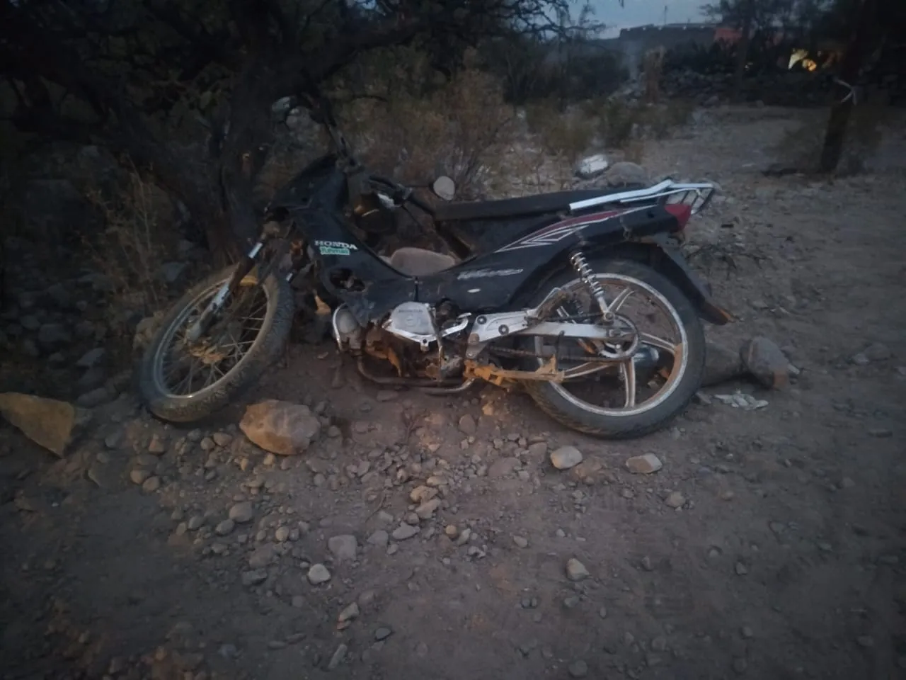 WhatsApp Image 2025-07-10 at 08.57.40