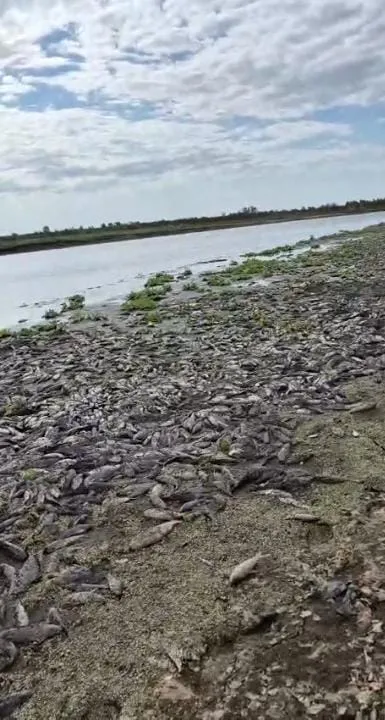 WhatsApp Image 2025-10-22 at 10.18.04