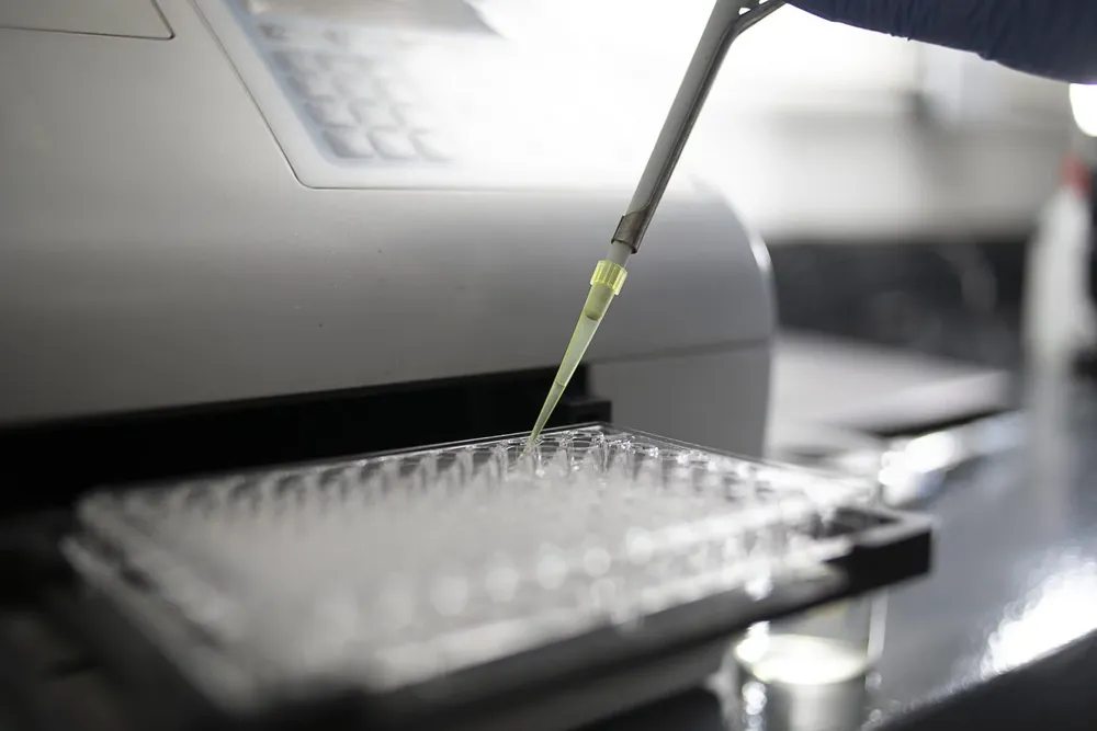 bacterias1