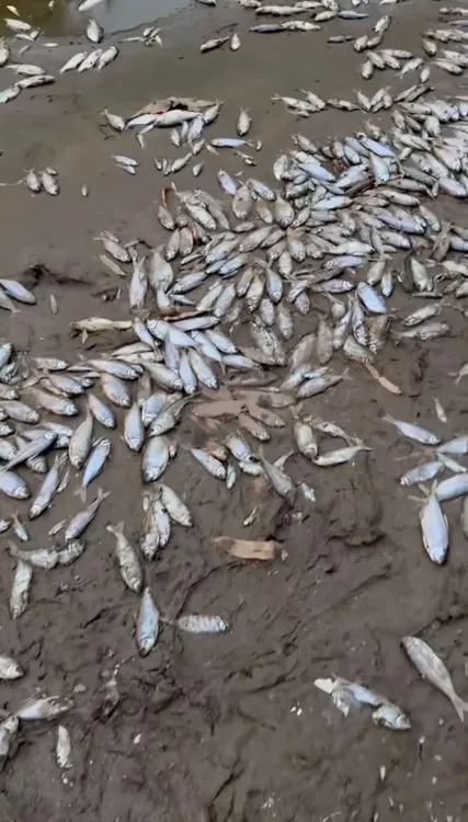 WhatsApp Image 2025-11-27 at 8.32.16 PM