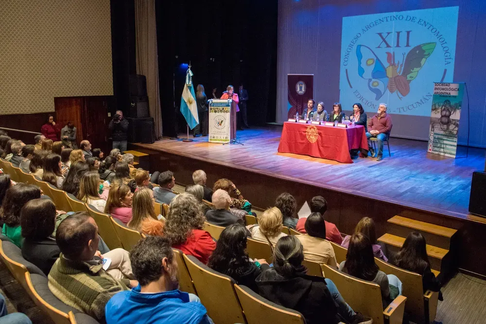 multimedia.normal.b4712e906a639c