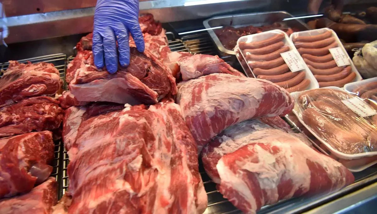 consumo-carne-argentina-mas-bajo-ultimos-100-anos-1041958-182512