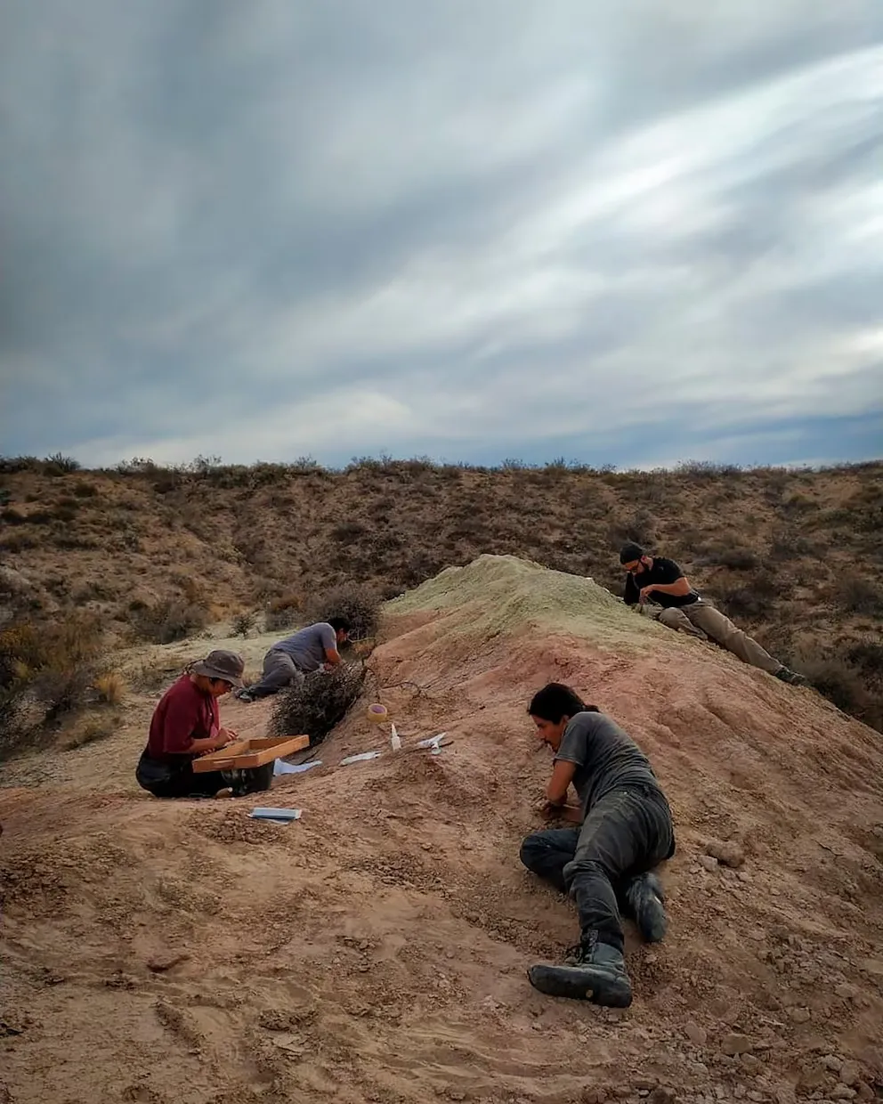 NG35PNR7F5BDPPNFT6AJSEOOIA