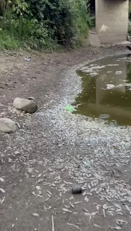 WhatsApp Image 2025-11-27 at 8.32.21 PM