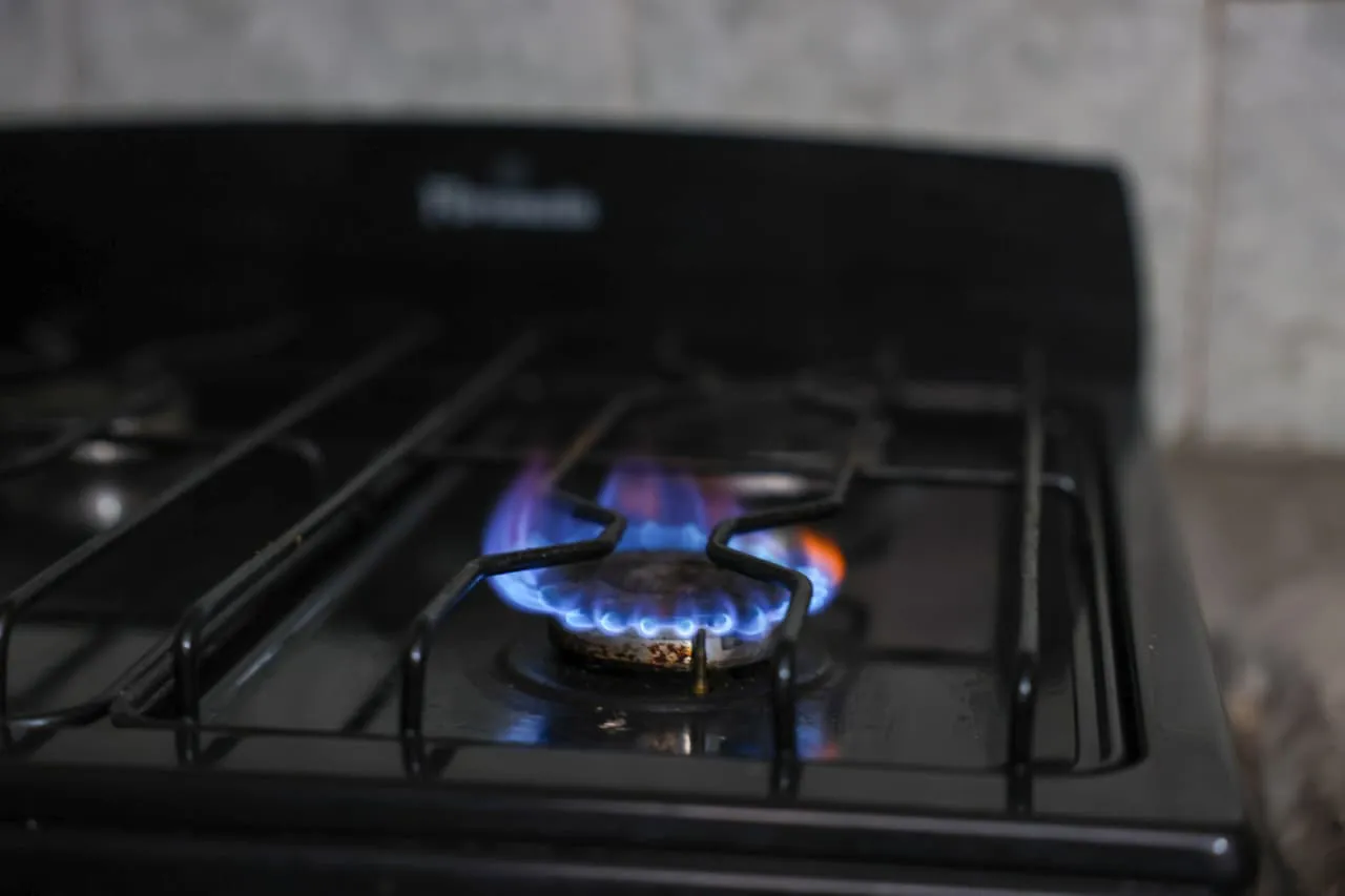 multimedia.normal.a6b5df4f660cb619.bm9ybWFsLndlYnA=