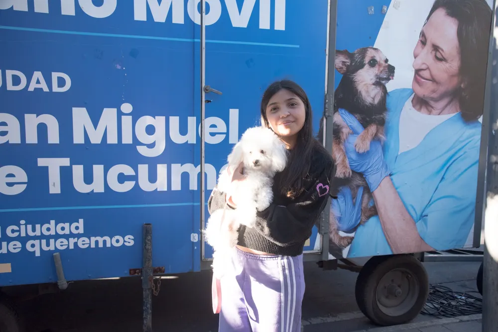 animales