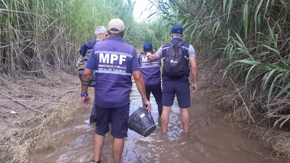 gfytx7odorverfohwx6k