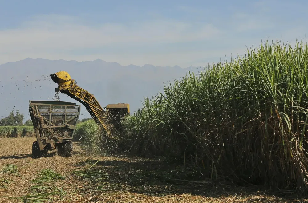 DukMIJslOp5vsYGWtJy4