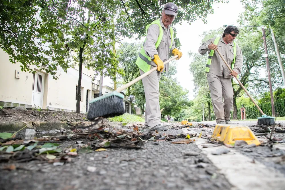 WhatsApp Image 2026-01-15 at 09.36.26