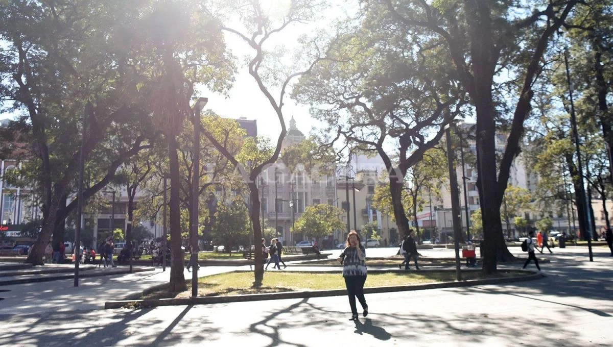 tiempo de viernes