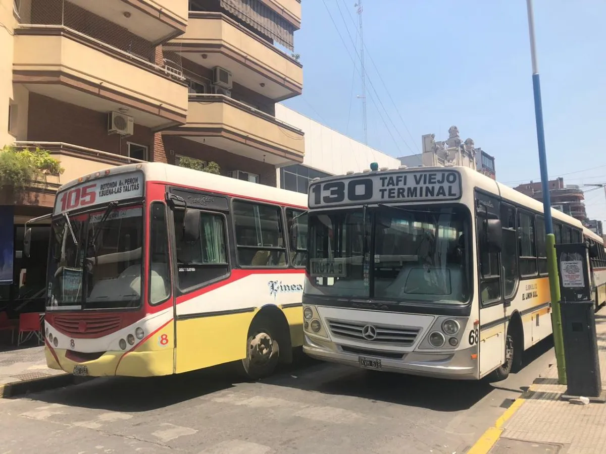 Por-que-hay-colectivos-en-todo-e