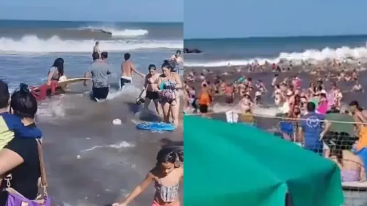 ola_gigantejpg_2129114323