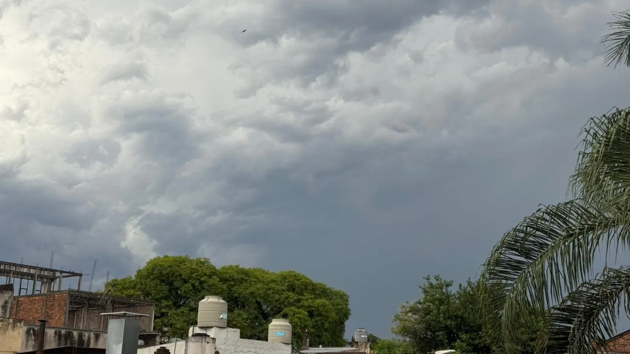 WhatsApp Image 2025-11-28 at 7.26.24 PM