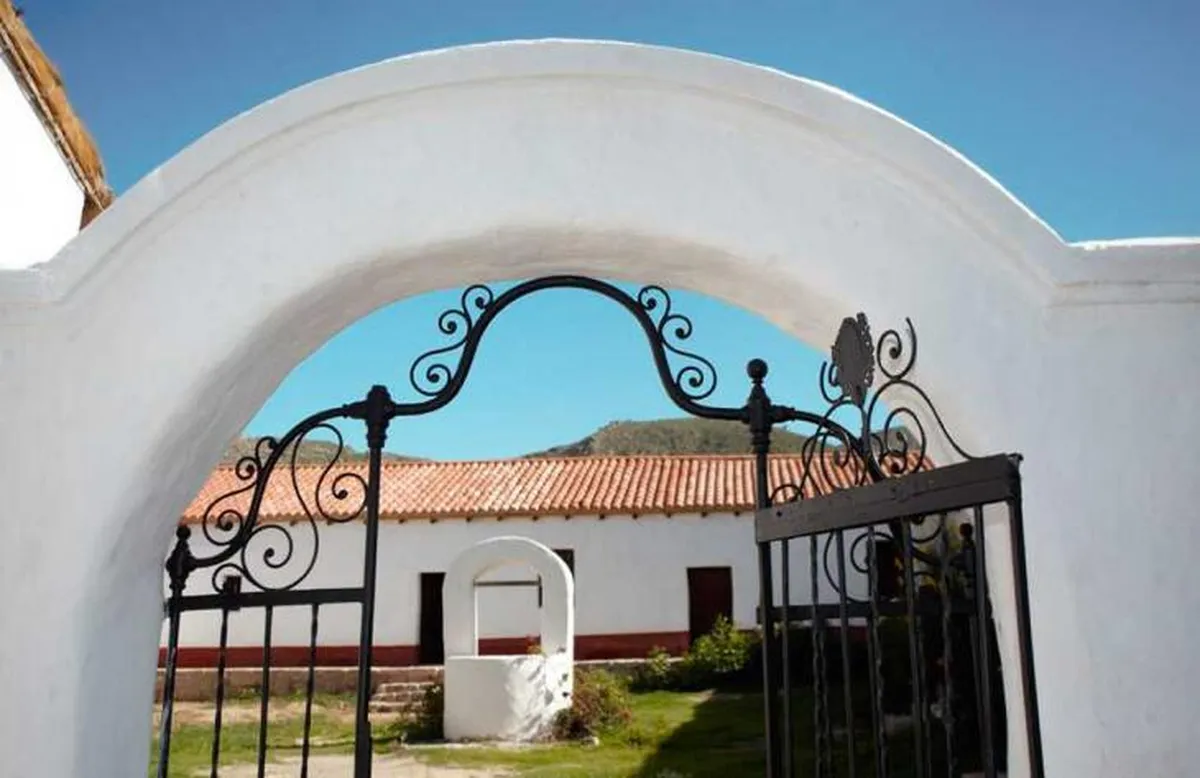 730x473_251003094744_87650