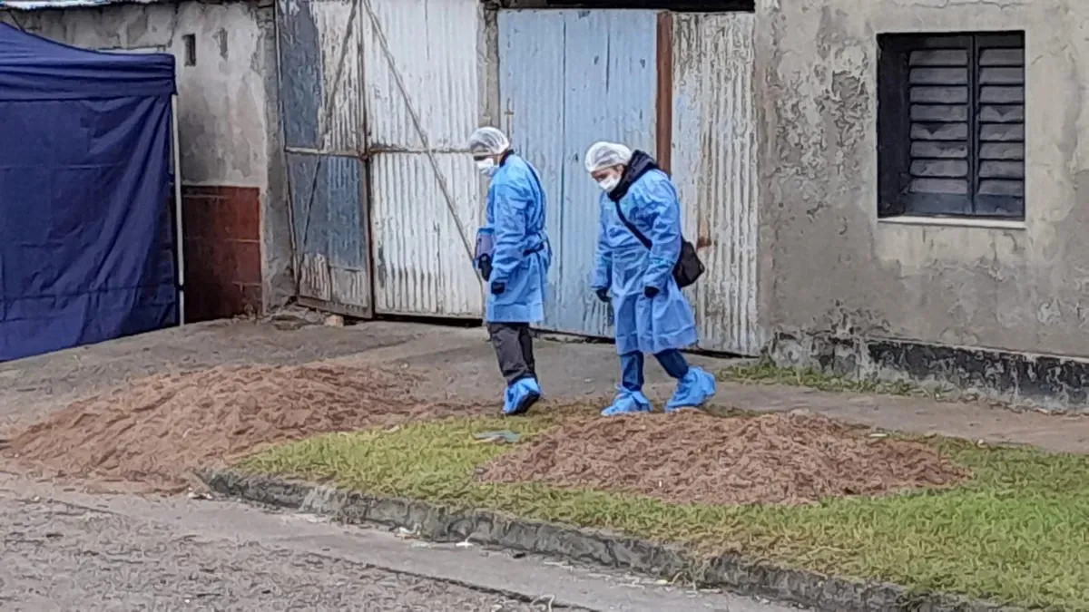 WhatsApp Image 2025-07-24 at 3.34.28 PM