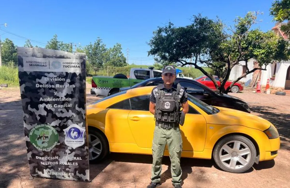 image - 2026-01-12T142549.101