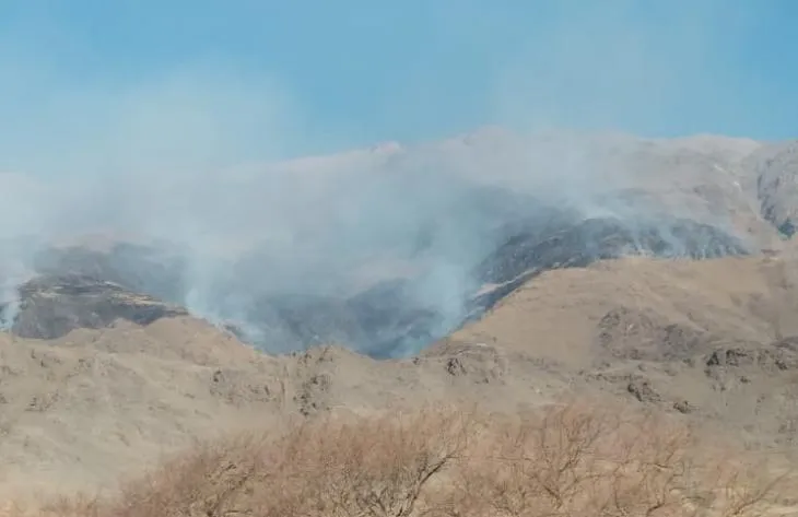 730x473_250730072850_40899 (1)