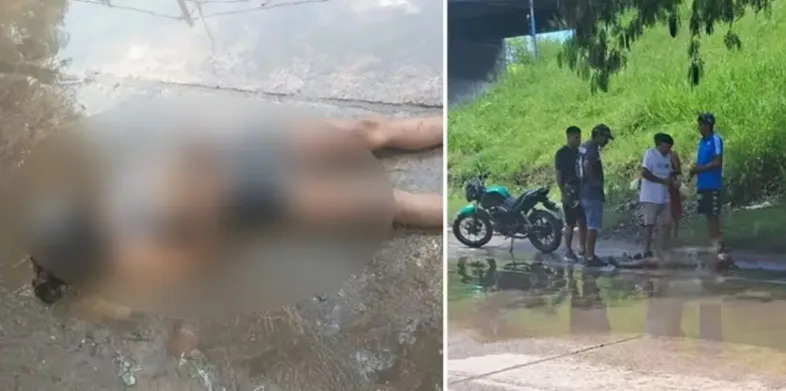 wmremove-transformed