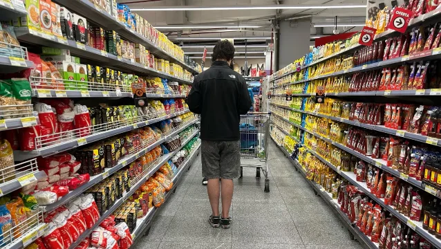 ALIMENTOS 3