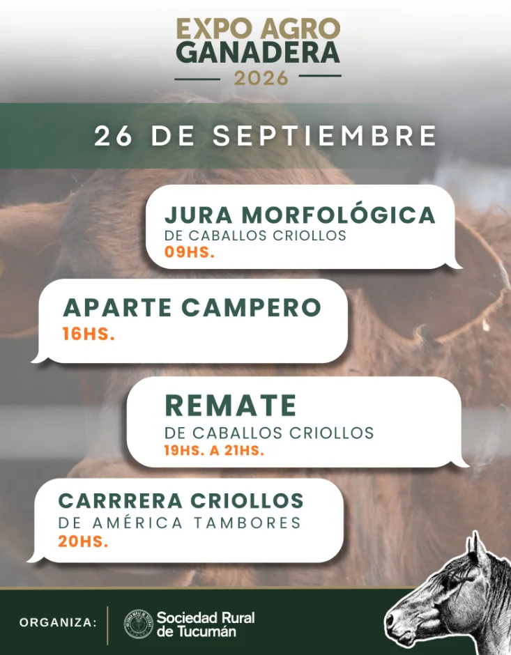 expo 4