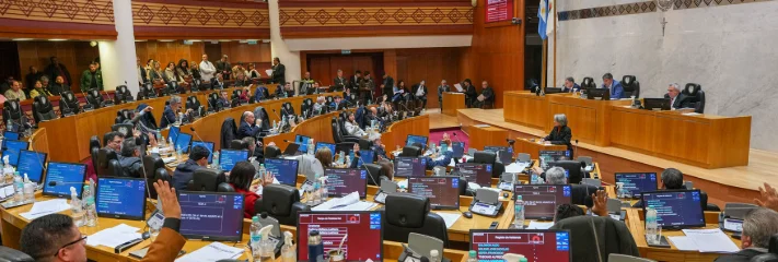 legislatura 1