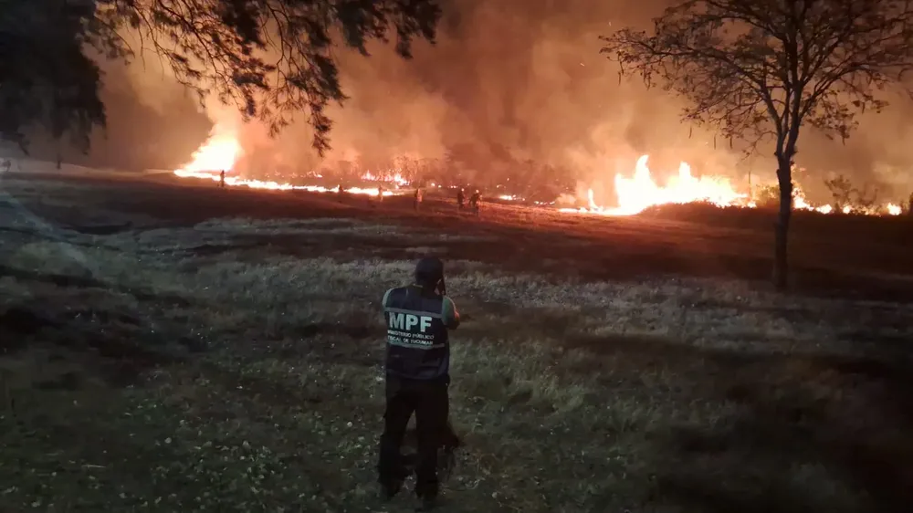 WhatsApp Image 2025-10-11 at 11.12.21 AM