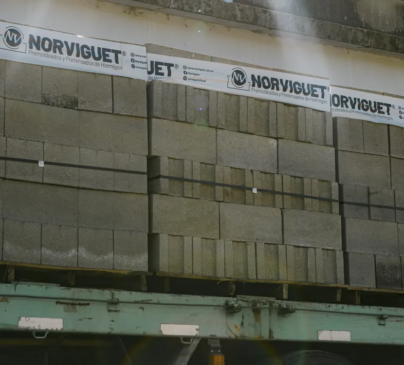 Norviguet-33