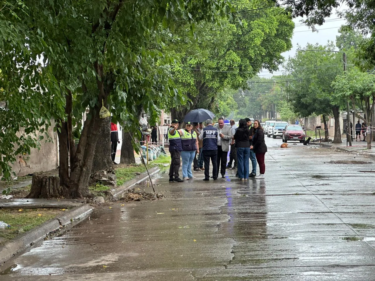 WhatsApp Image 2025-12-01 at 10.03.42 (1)