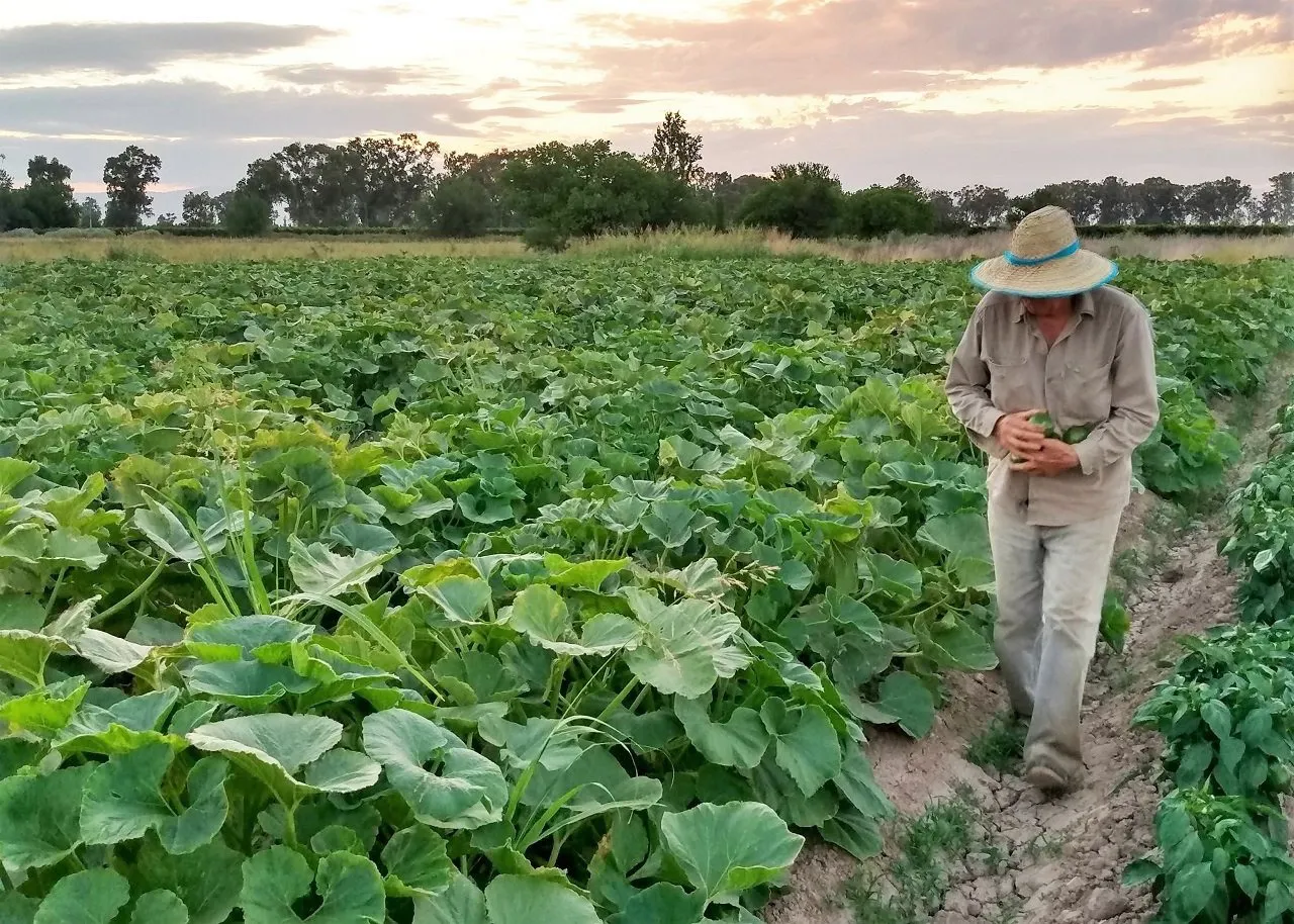 dia-del-agricultor-y-productor-a