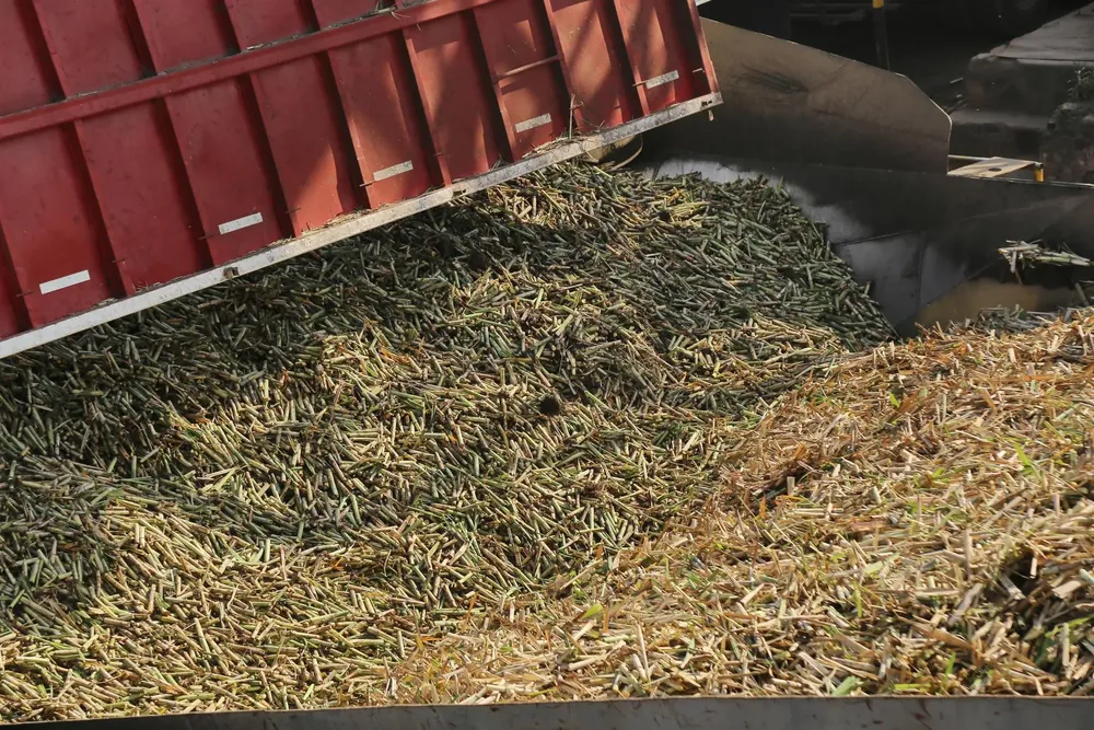 X5HPI5gj3I7RnMIlFadW