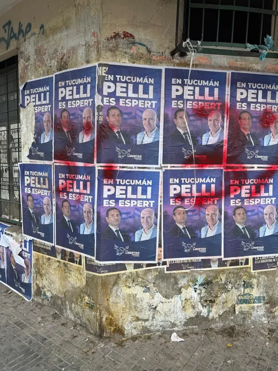 WhatsApp Image 2025-10-17 at 7.33.47 PM