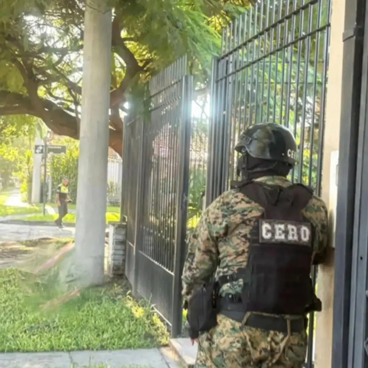 wmremove-transformed (5)