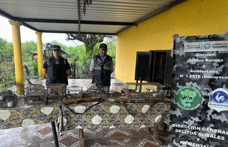 Captura de pantalla 2026-01-19 145731