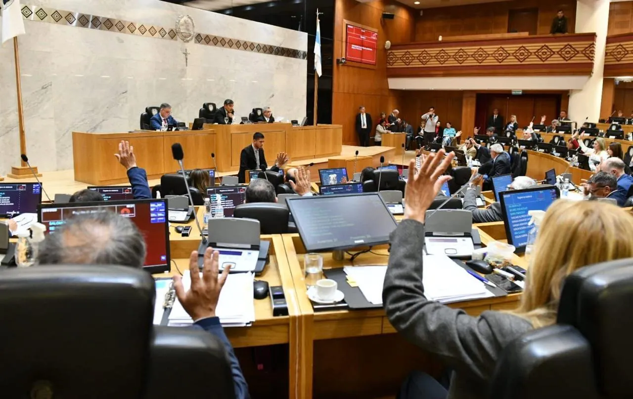 WhatsApp Image 2025-08-28 at 11