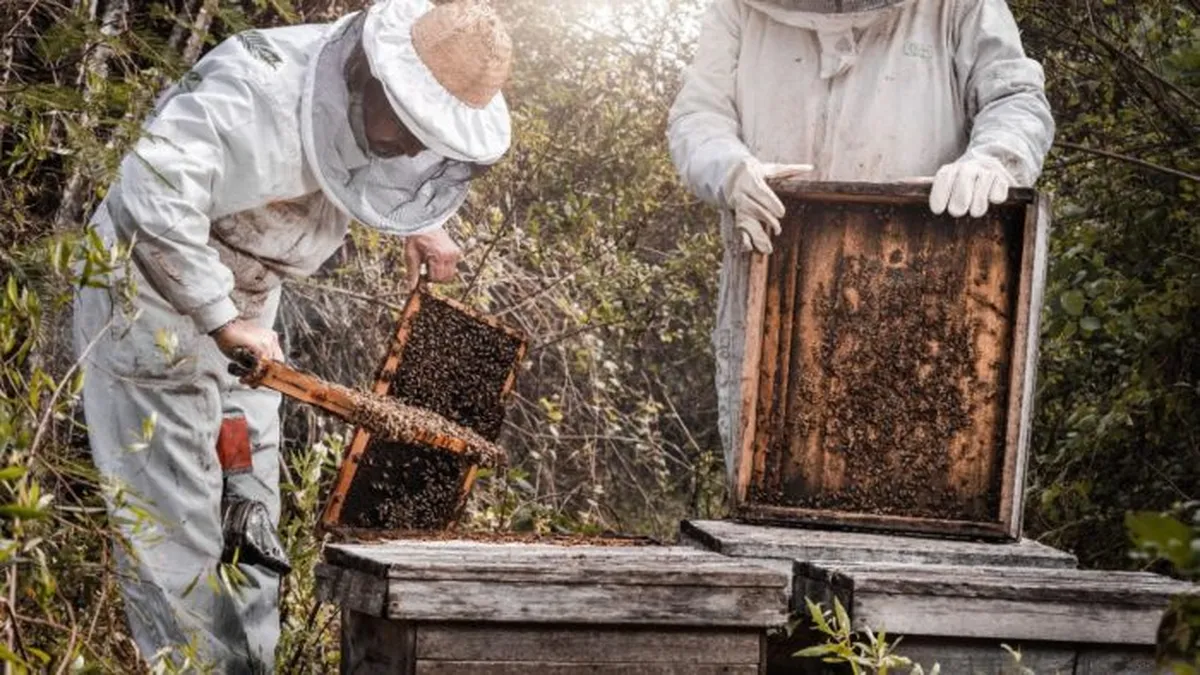 image - 2026-01-13T173147.777